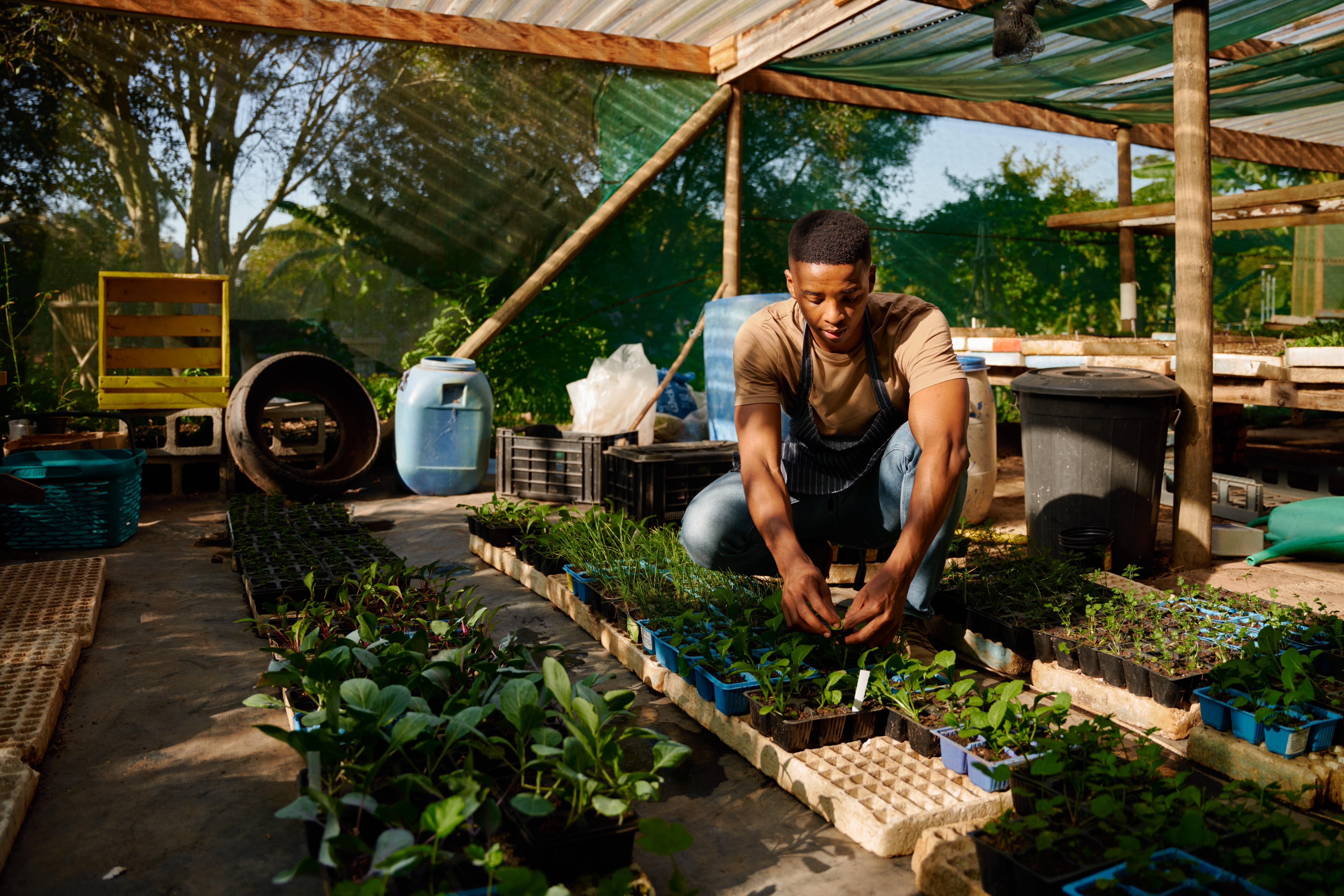 Young,Black,Man,Crouching,Next,To,Plants,While,Gardening,In